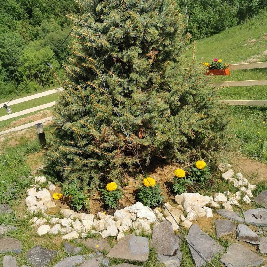 Campingplatz Cabanuta Din Munti *